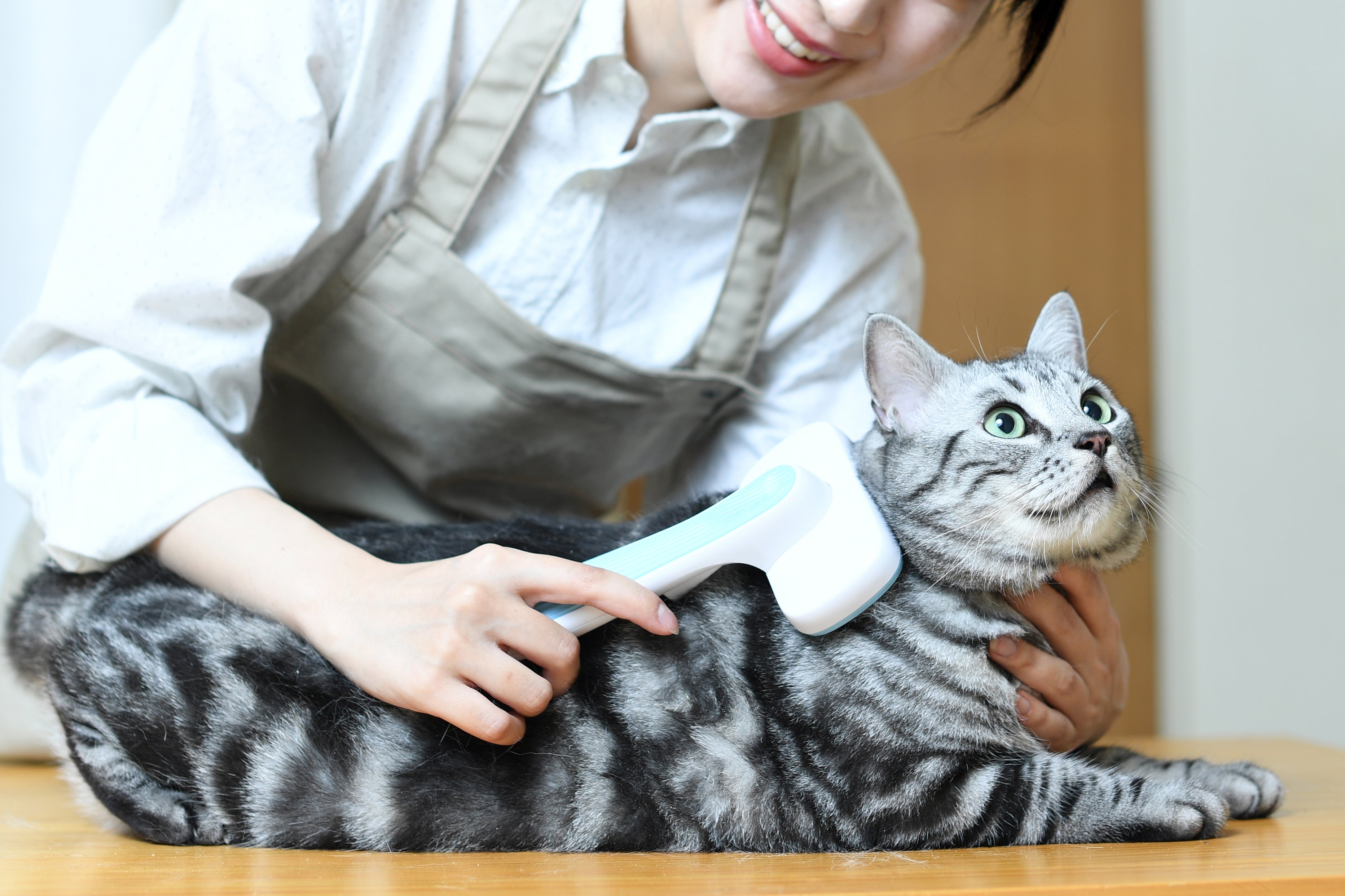 簡単で続けやすい！猫の手入れ・究極ガイド