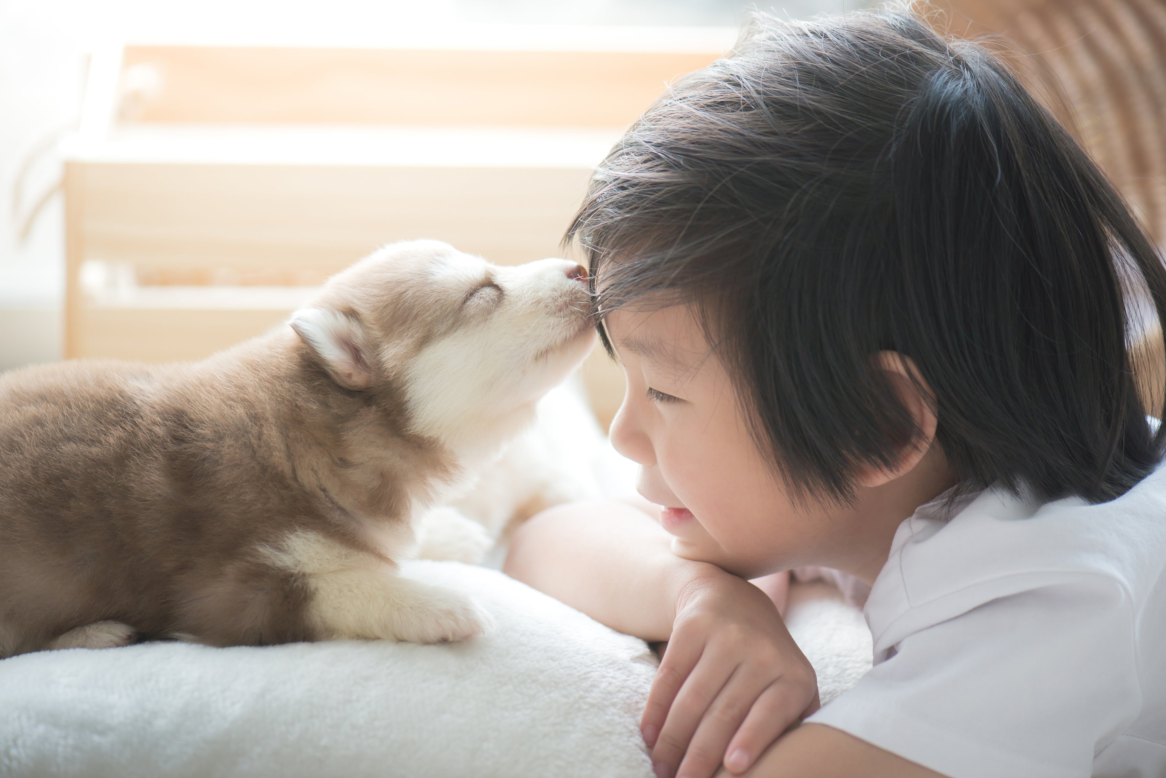 犬と子ども：幸せな子ども時代を彩る最高のパートナー
