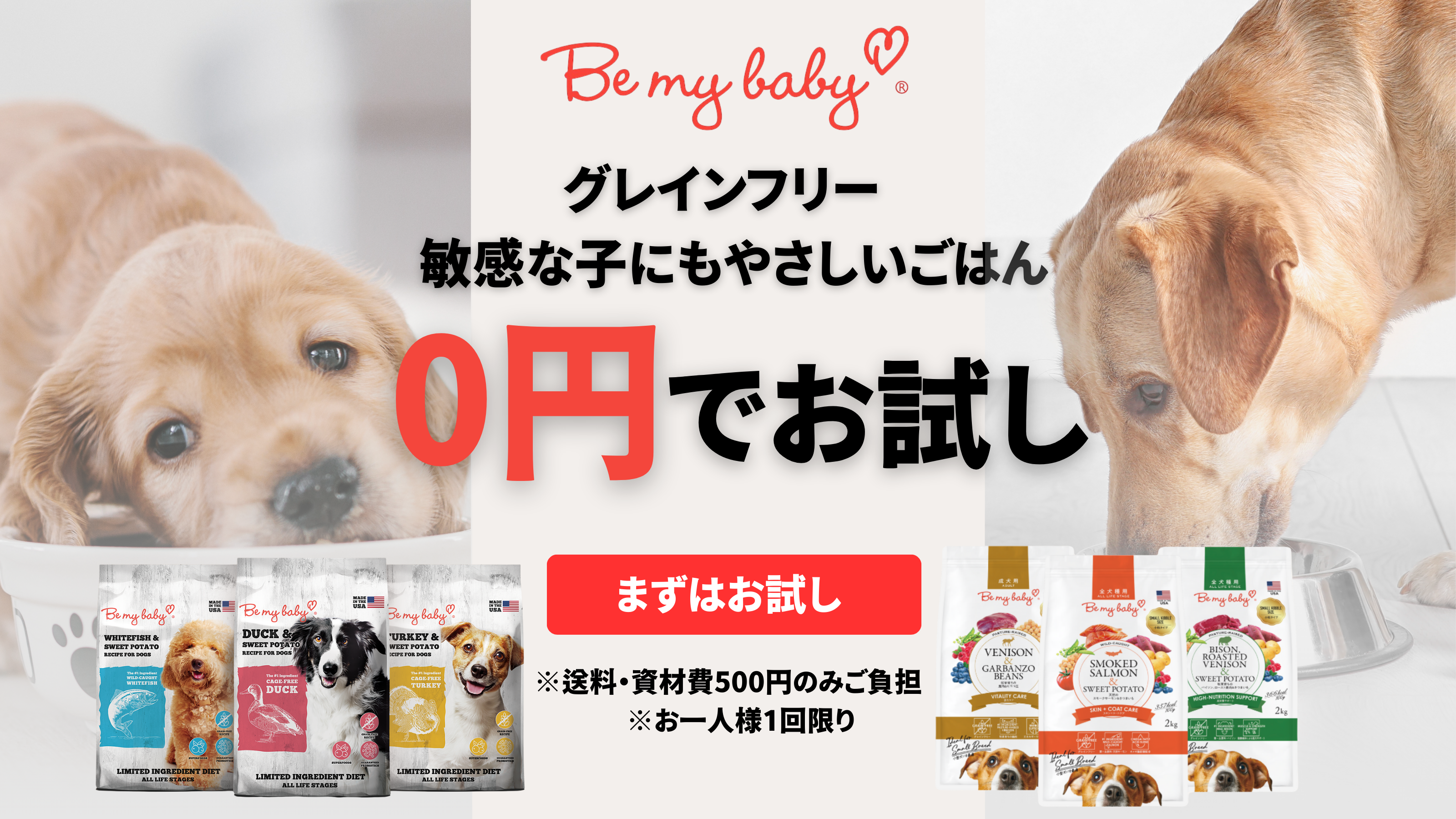 WAYLUN.JP