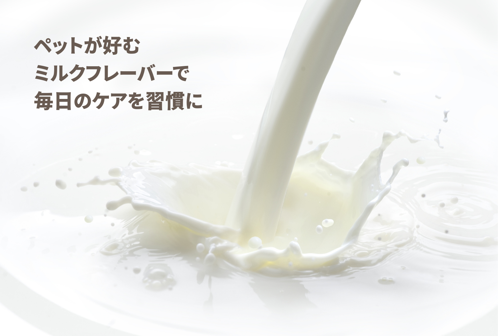 WAYLUN.JP