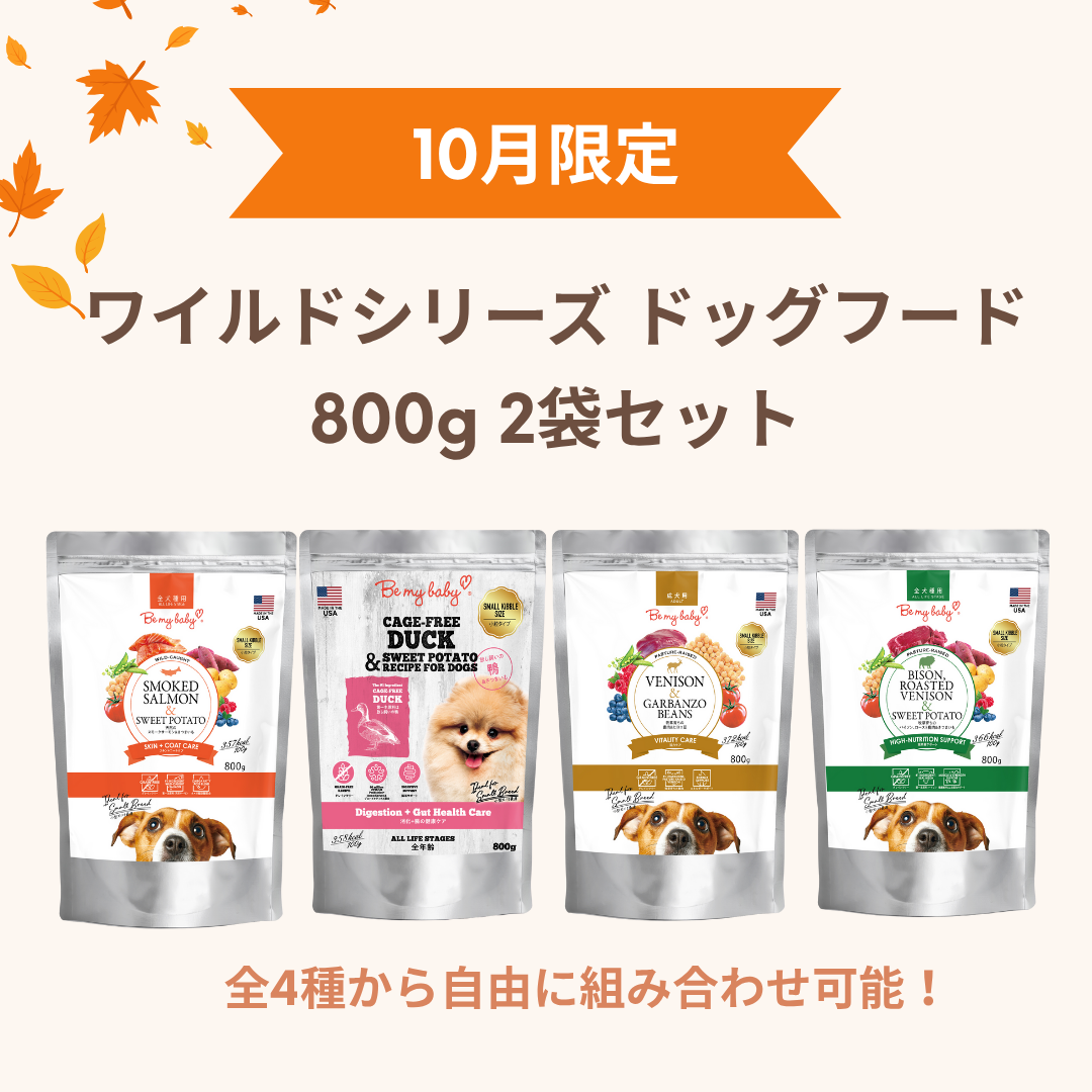 WAYLUN.JP