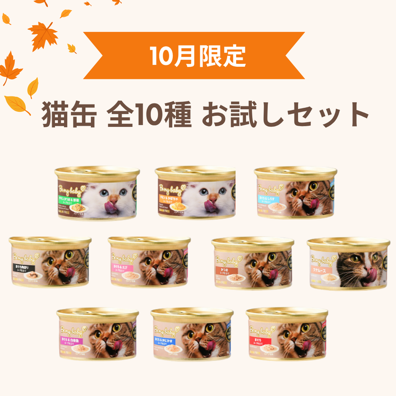 ウェールン日本公式オンラインストア