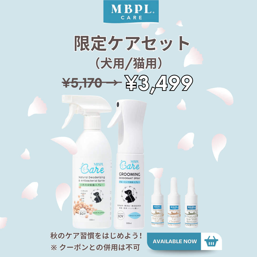 WAYLUN.JP