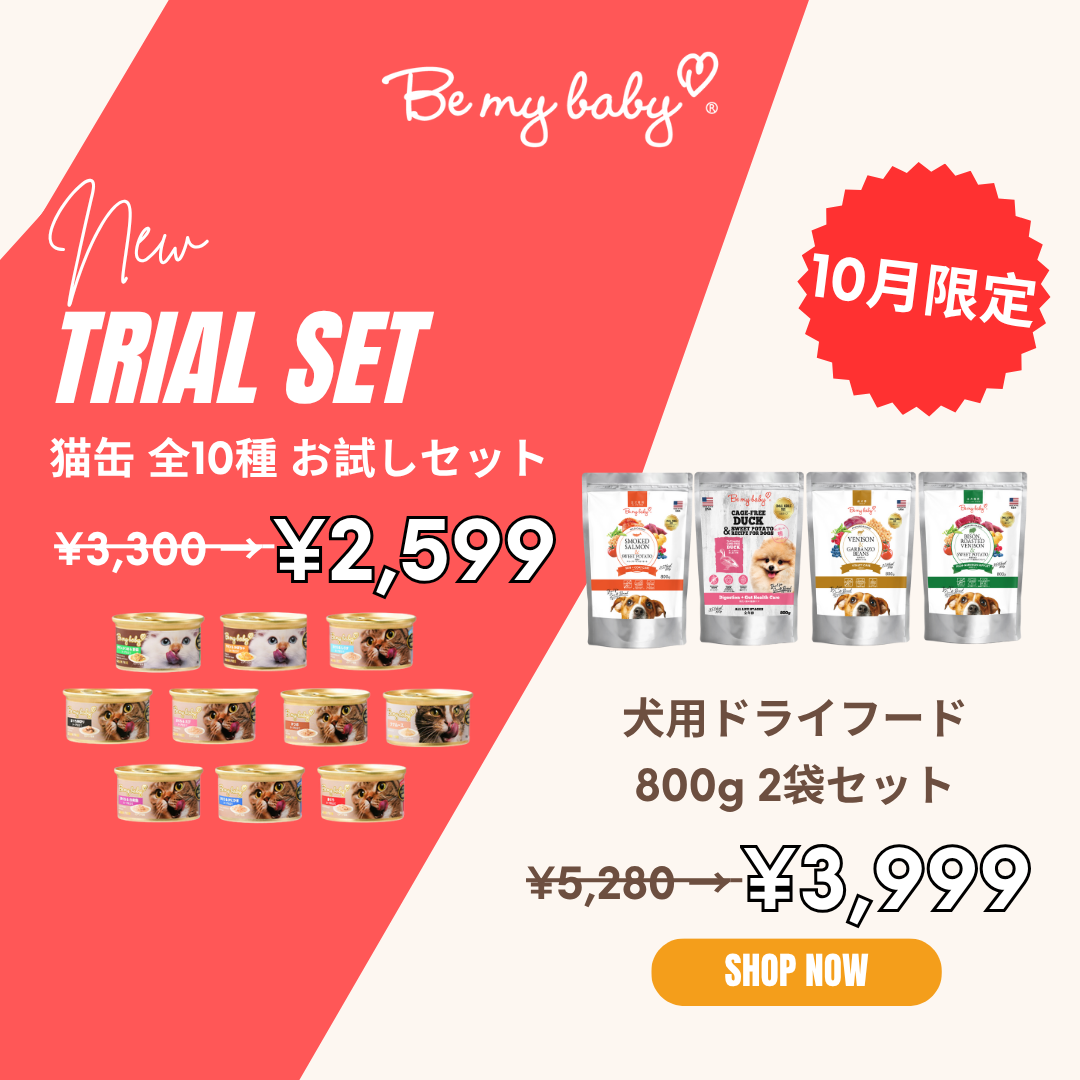 WAYLUN.JP