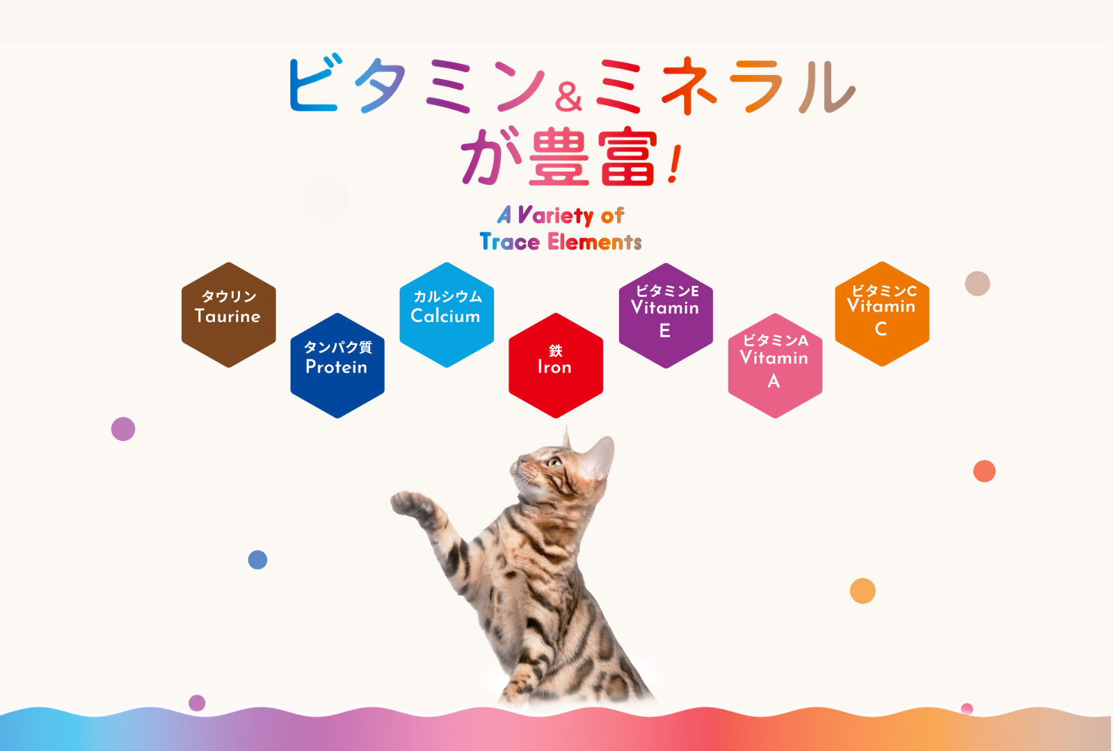 ウェールン日本公式オンラインストア