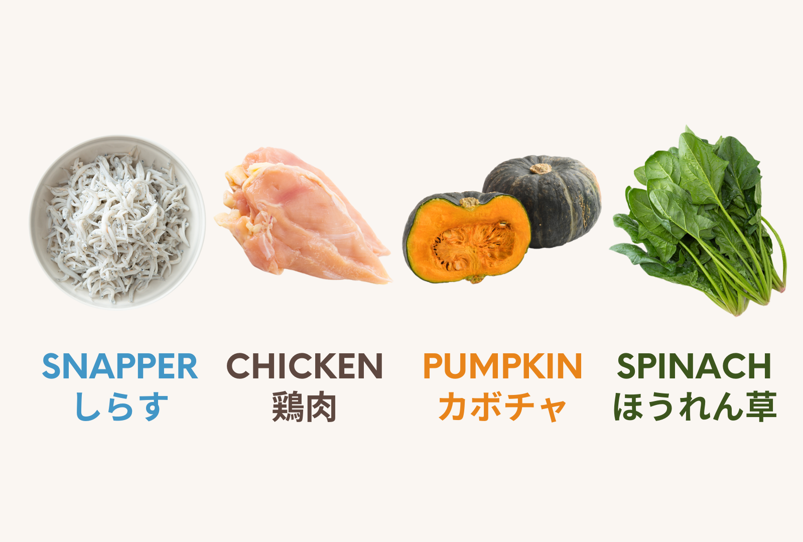 ウェールン日本公式オンラインストア