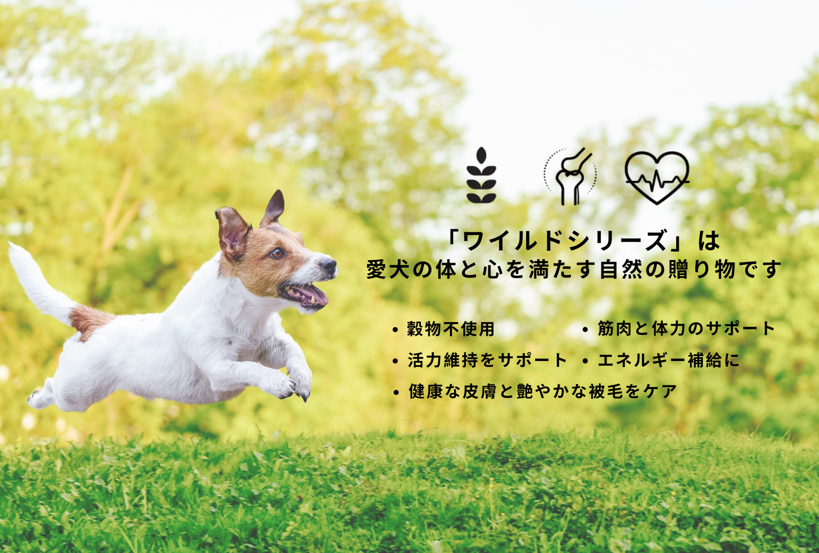 ウェールン日本公式オンラインストア