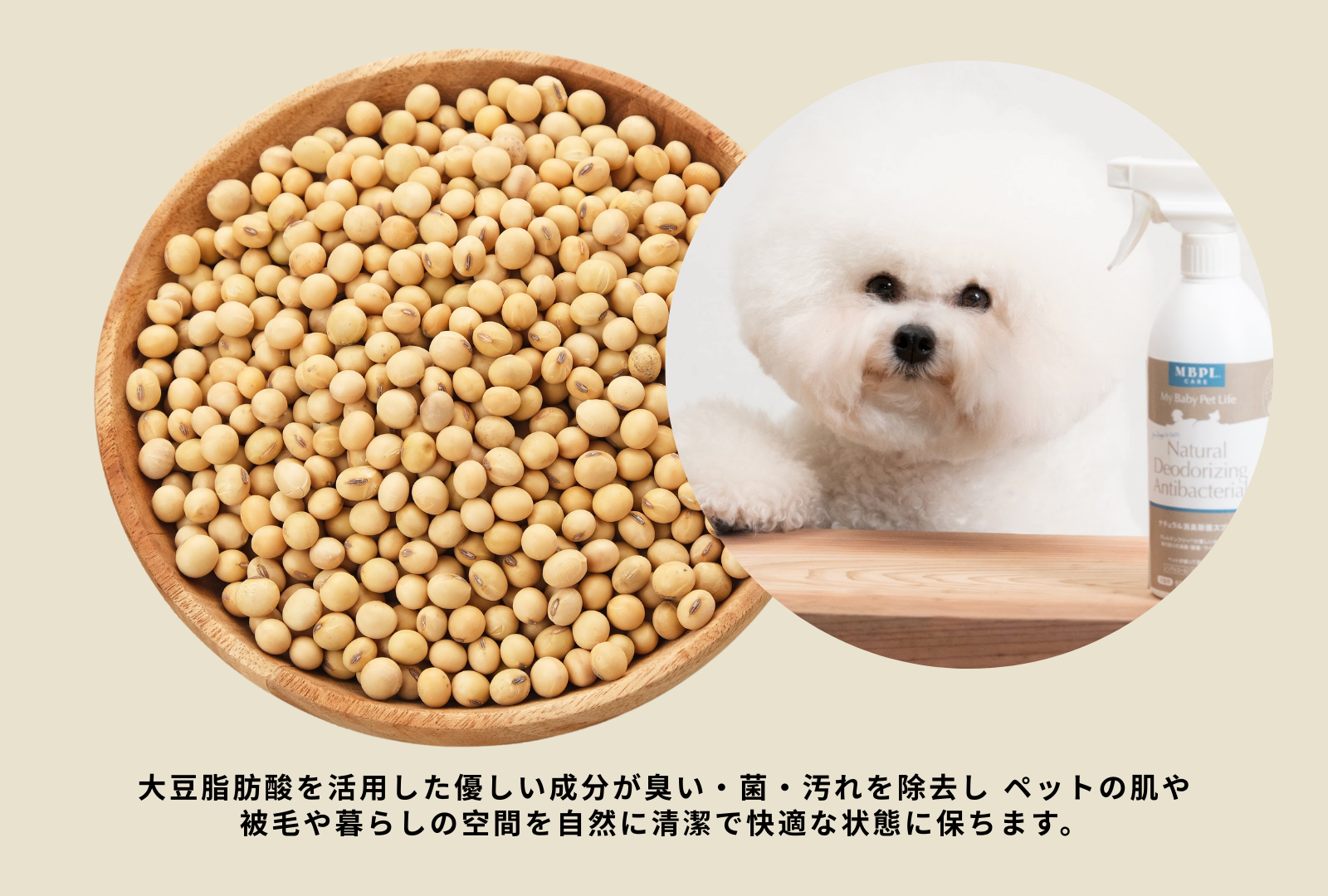 ウェールン日本公式オンラインストア