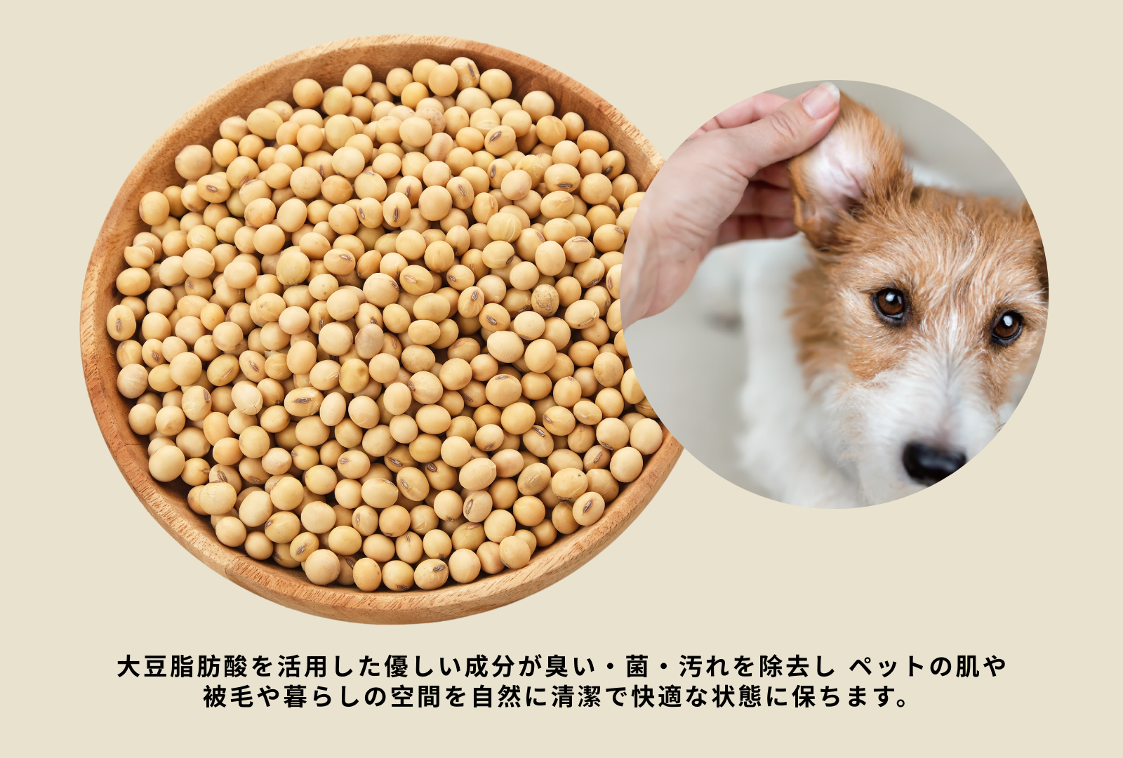 ウェールン日本公式オンラインストア