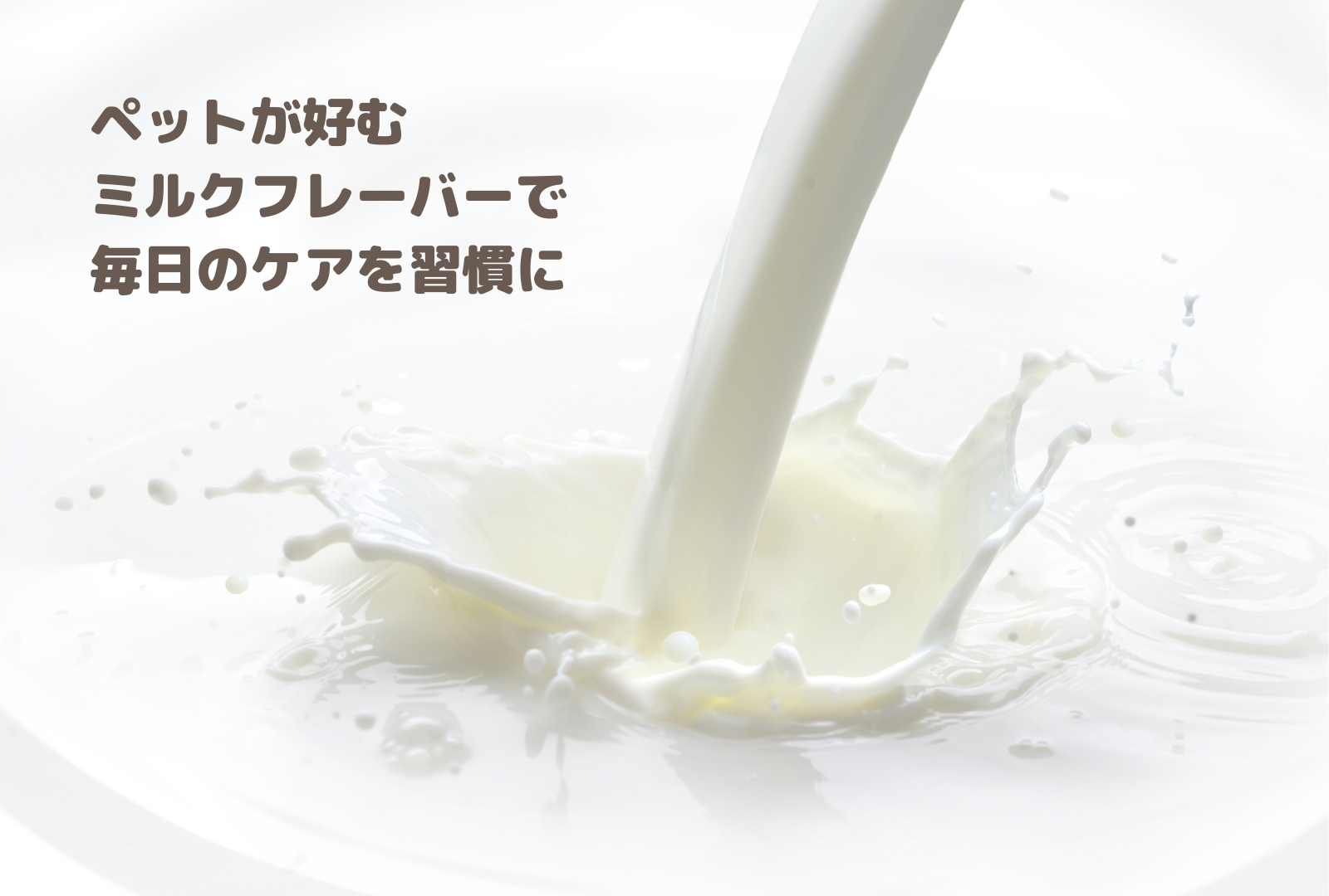 WAYLUN.JP