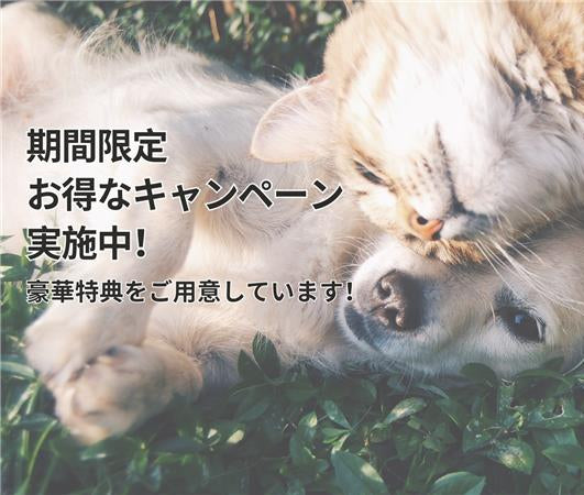 ウェールン日本公式オンラインストア