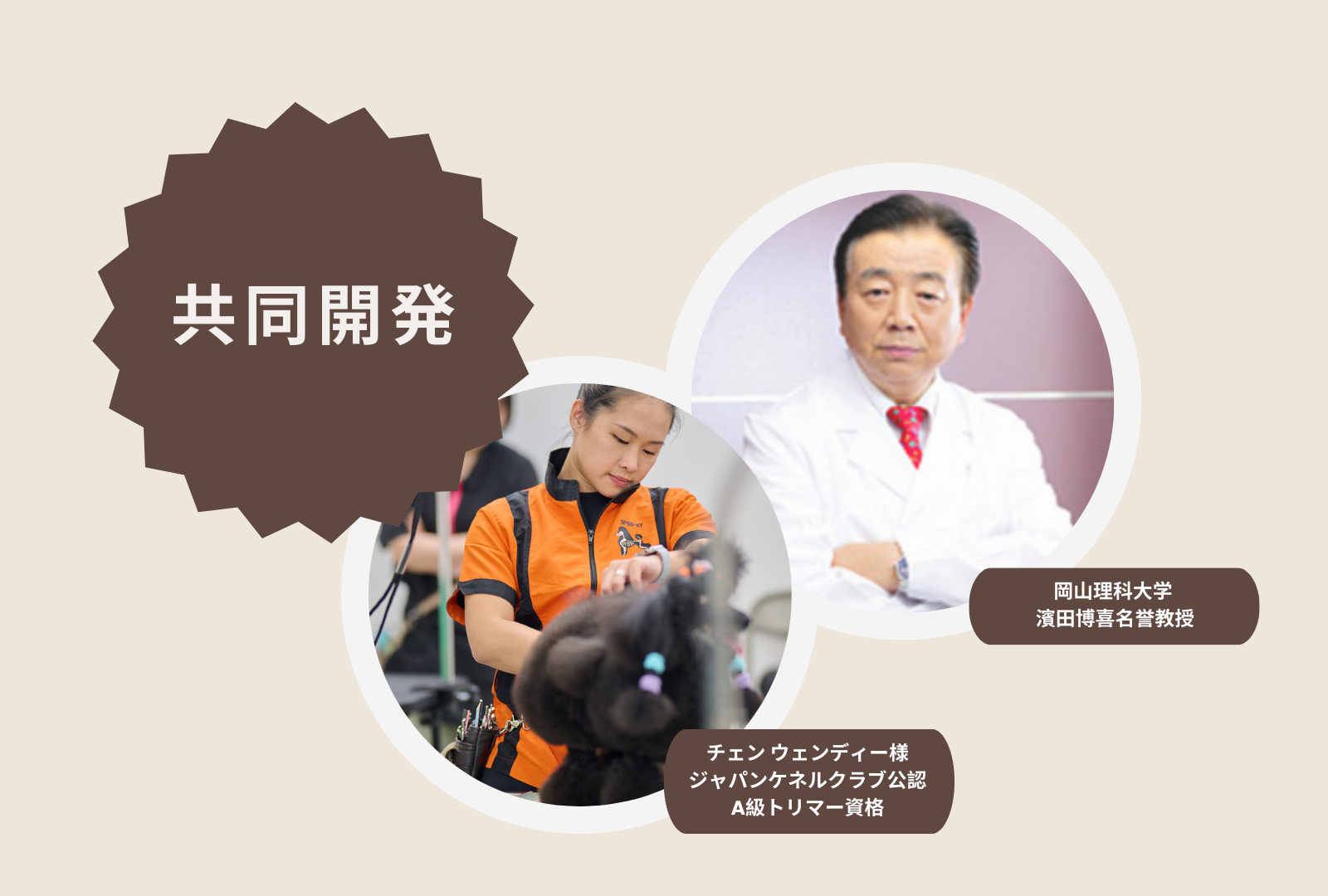WAYLUN.JP
