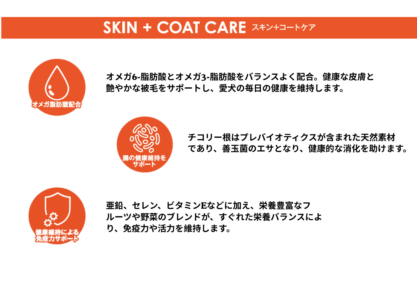 ウェールン日本公式オンラインストア
