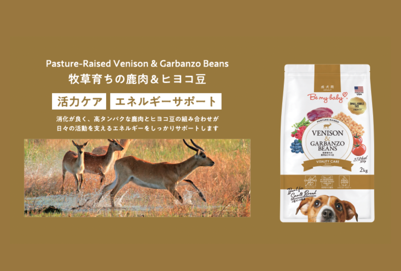 ウェールン日本公式オンラインストア