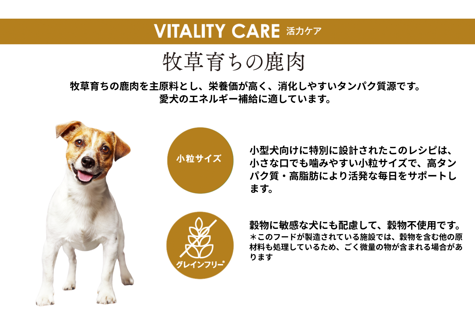 ウェールン日本公式オンラインストア