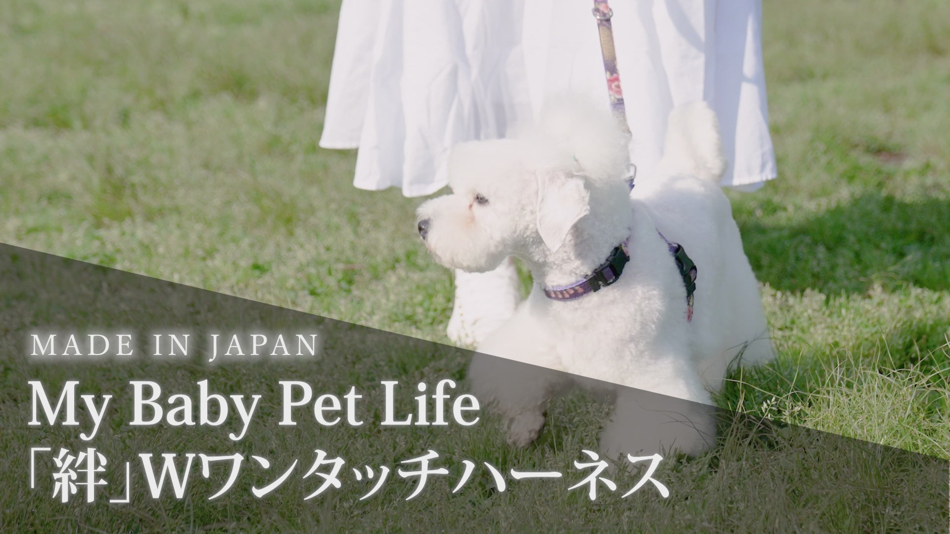WAYLUN.JP