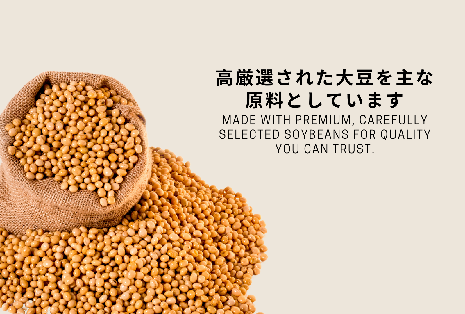WAYLUN.JP